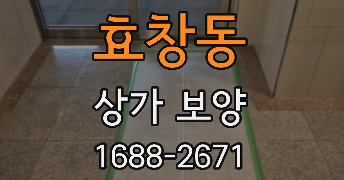 효창동 상가 보양