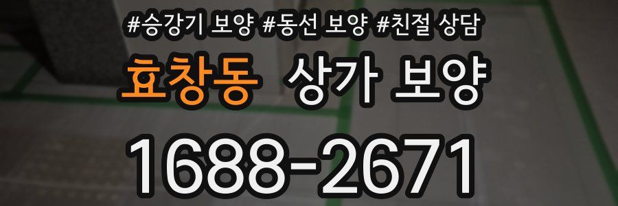 효창동 상가 보양
