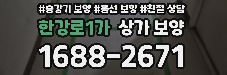 한강로1가 상가 보양