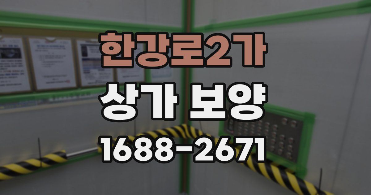 한강로2가 상가 보양
