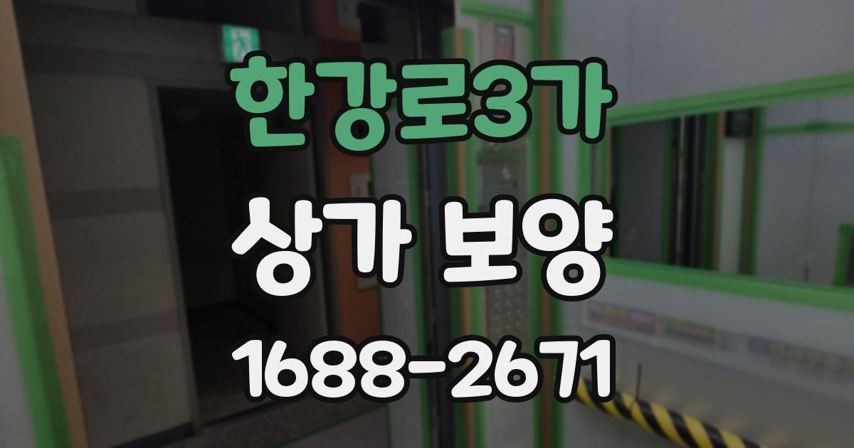 한강로3가 상가 보양