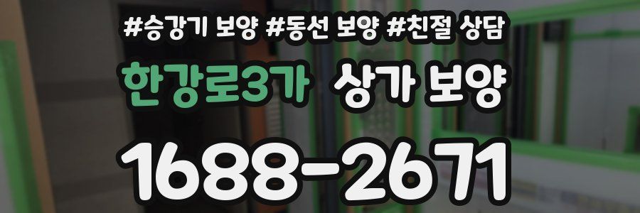 한강로3가 상가 보양