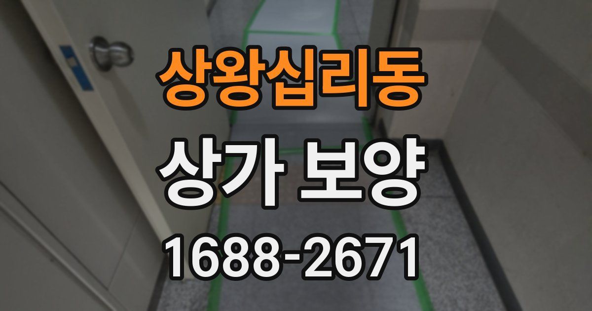 상왕십리동 상가 보양