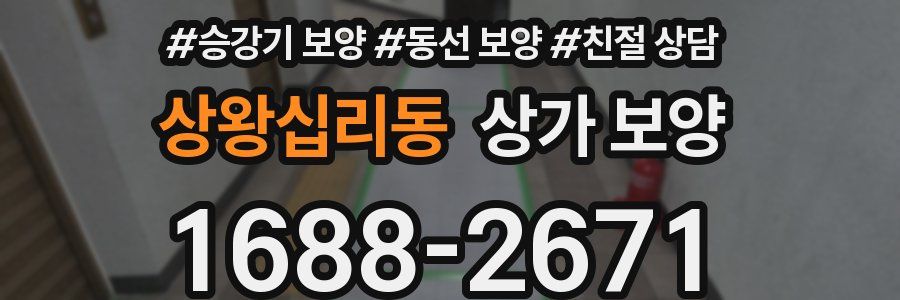 상왕십리동 상가 보양