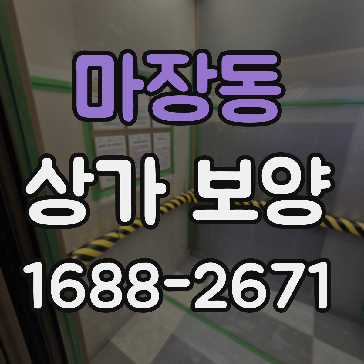 마장동 상가 보양