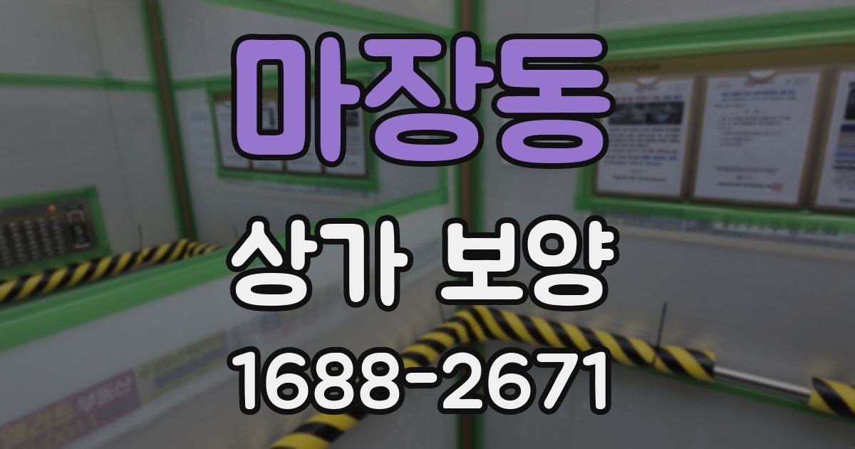 마장동 상가 보양