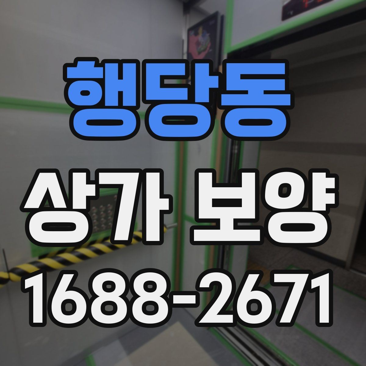 행당동 상가 보양 현장에서 많이 쓰는 보호재 종류