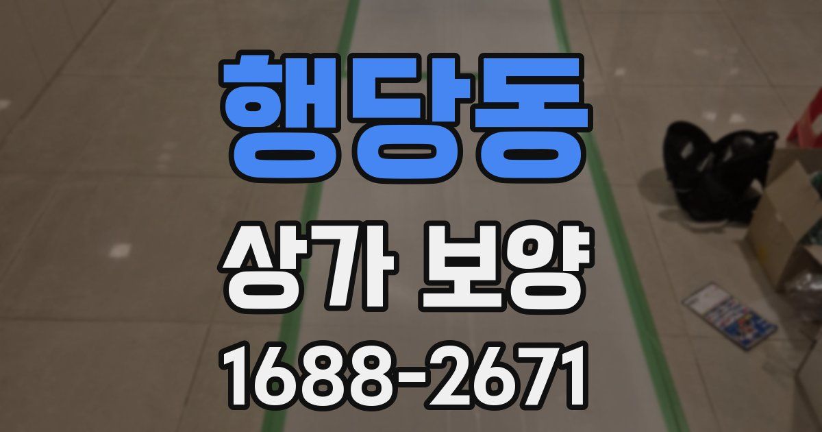 행당동 상가 보양