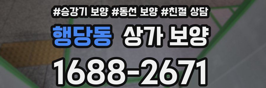 행당동 상가 보양