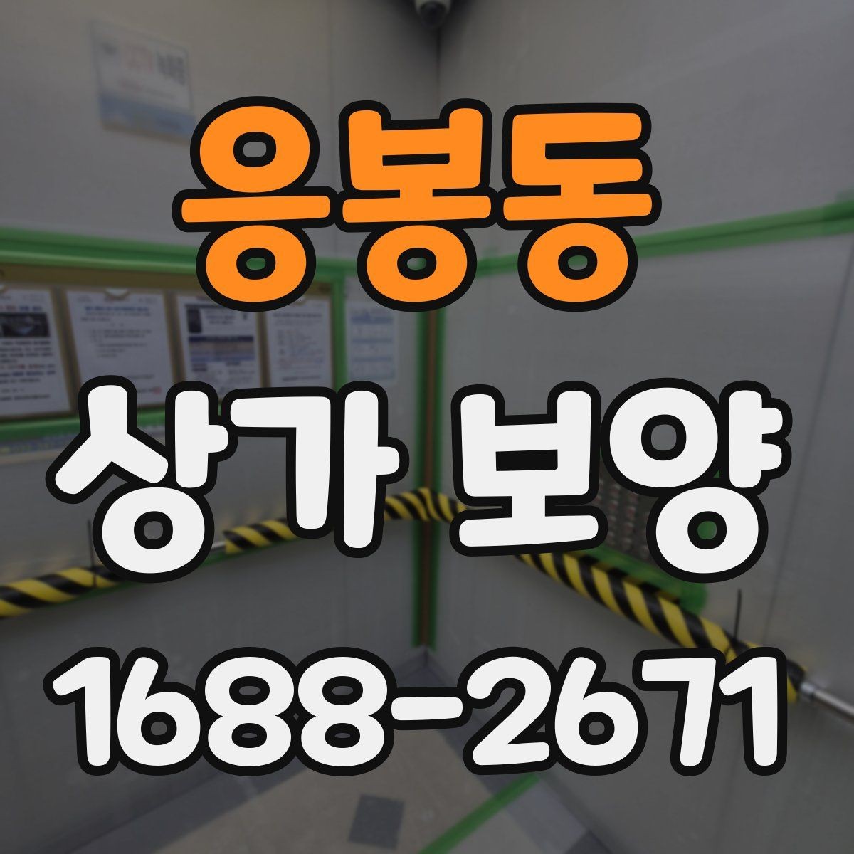 응봉동 상가 보양 시 자주 묻는 질문과 답변