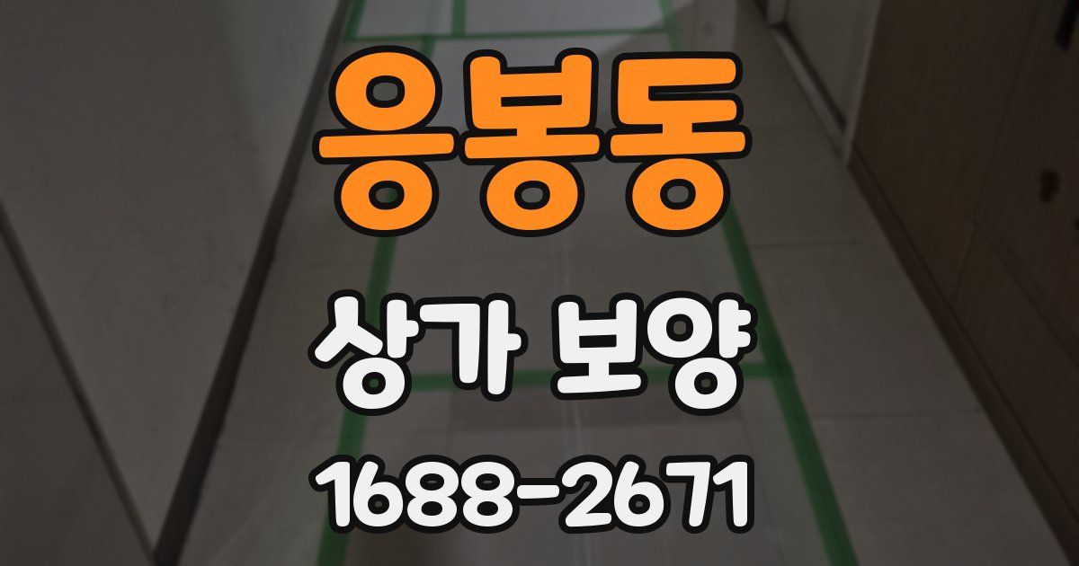 응봉동 상가 보양