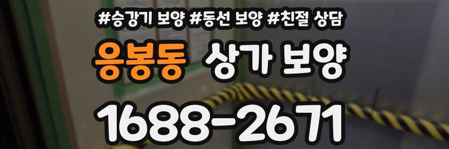 응봉동 상가 보양