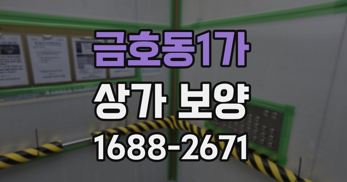 금호동1가 상가 보양