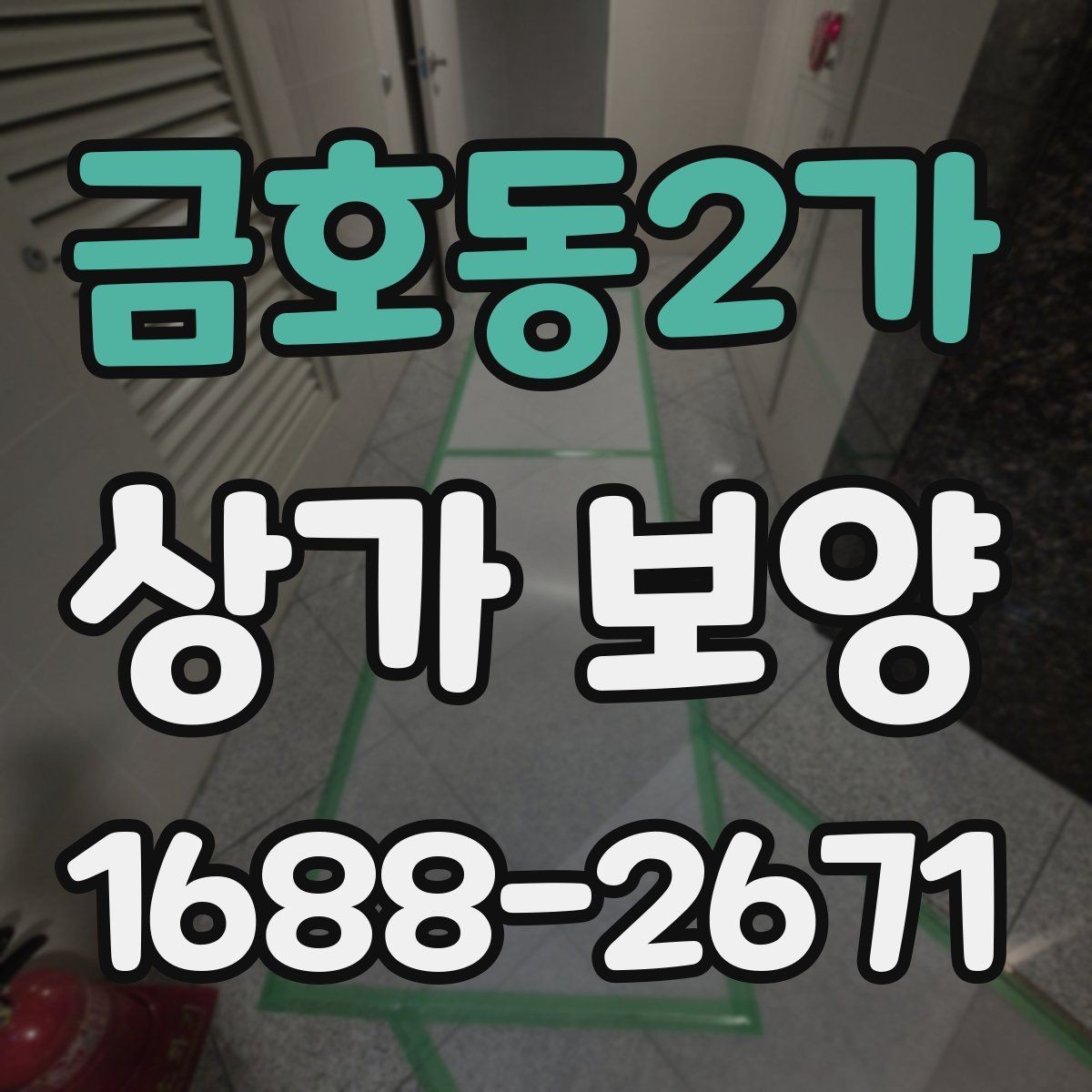 금호동2가 상가 보양 전후로 확인할 부분