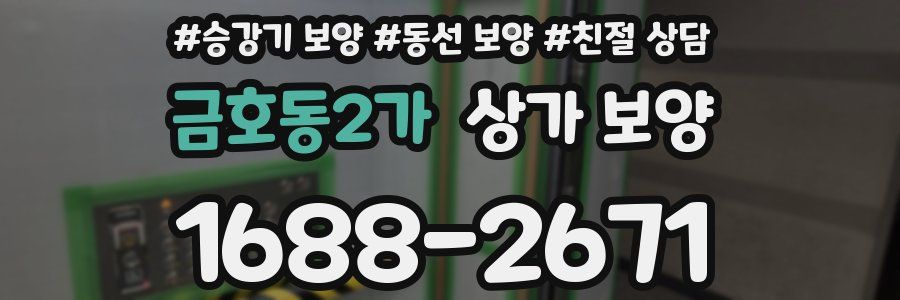 금호동2가 상가 보양