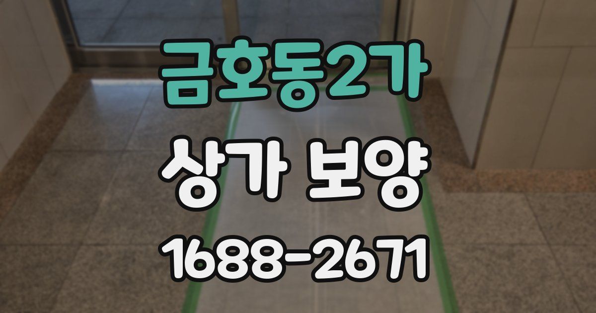금호동2가 상가 보양