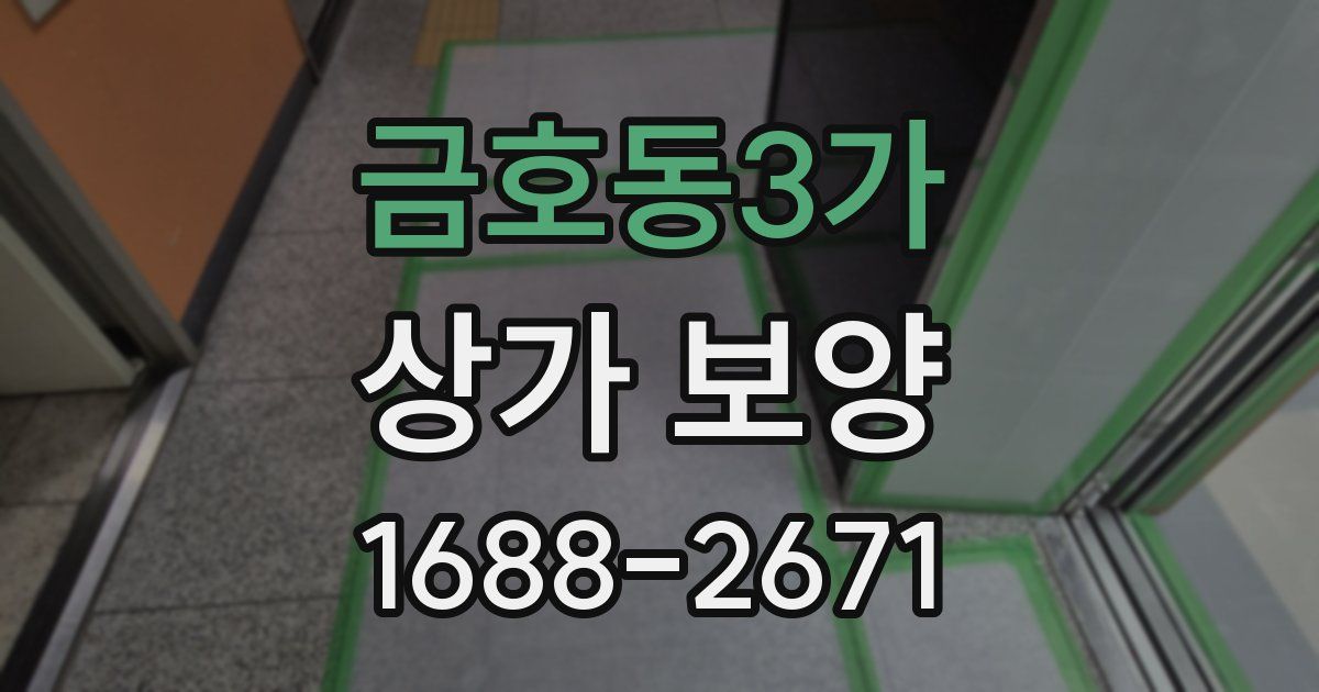 금호동3가 상가 보양