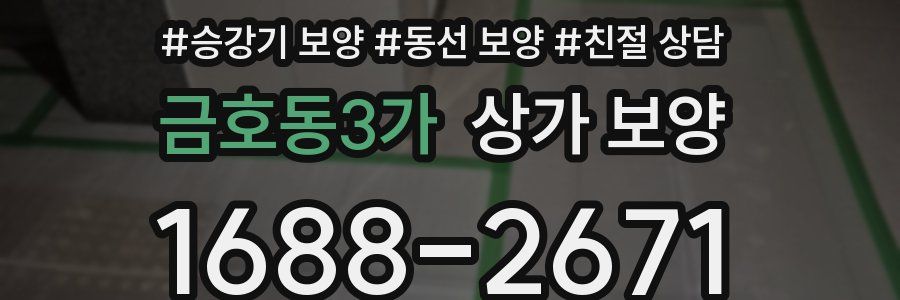 금호동3가 상가 보양