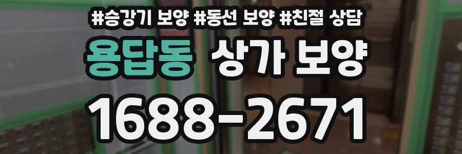 용답동 상가 보양
