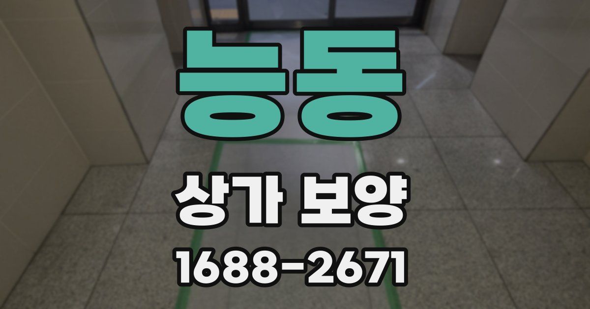 능동 상가 보양