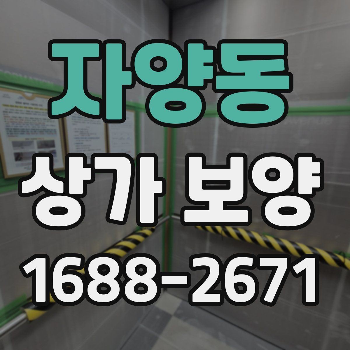 자양동 상가 보양 범위별 비용과 작업 내용