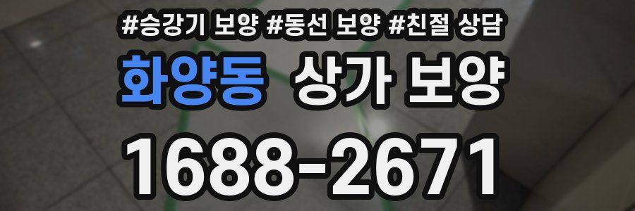 화양동 상가 보양
