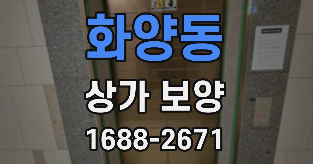 화양동 상가 보양