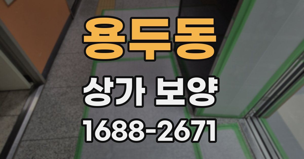 용두동 상가 보양