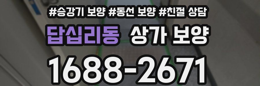 답십리동 상가 보양
