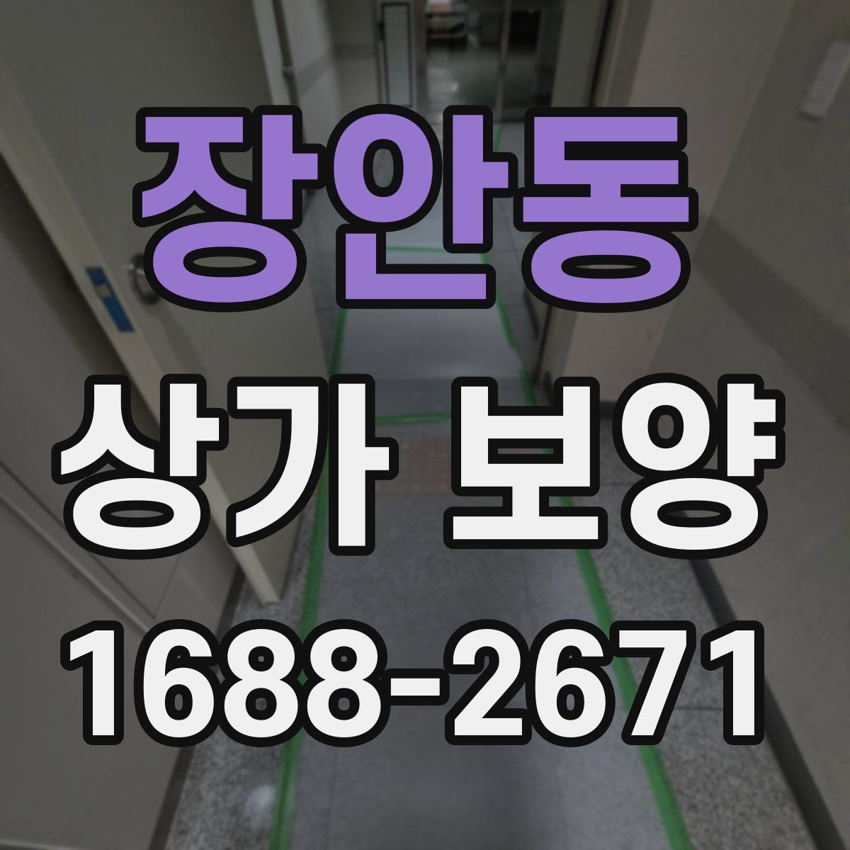 장안동 상가 보양