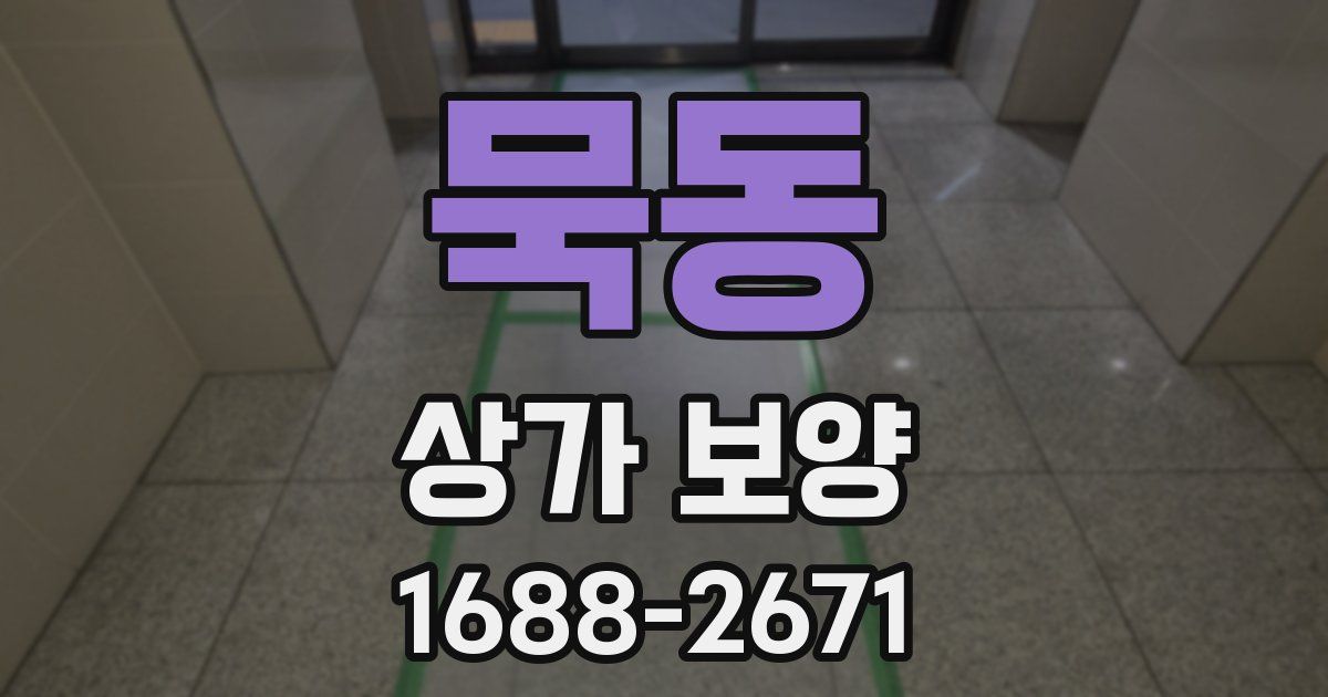 묵동 상가 보양