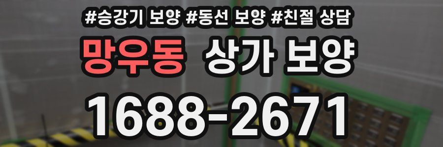망우동 상가 보양