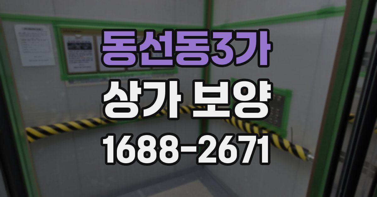 동선동3가 상가 보양