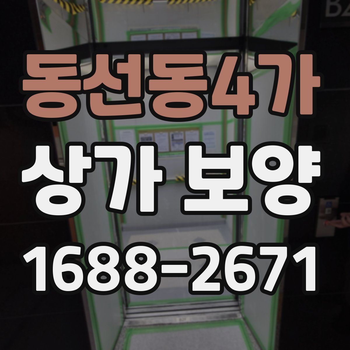 동선동4가 상가 보양