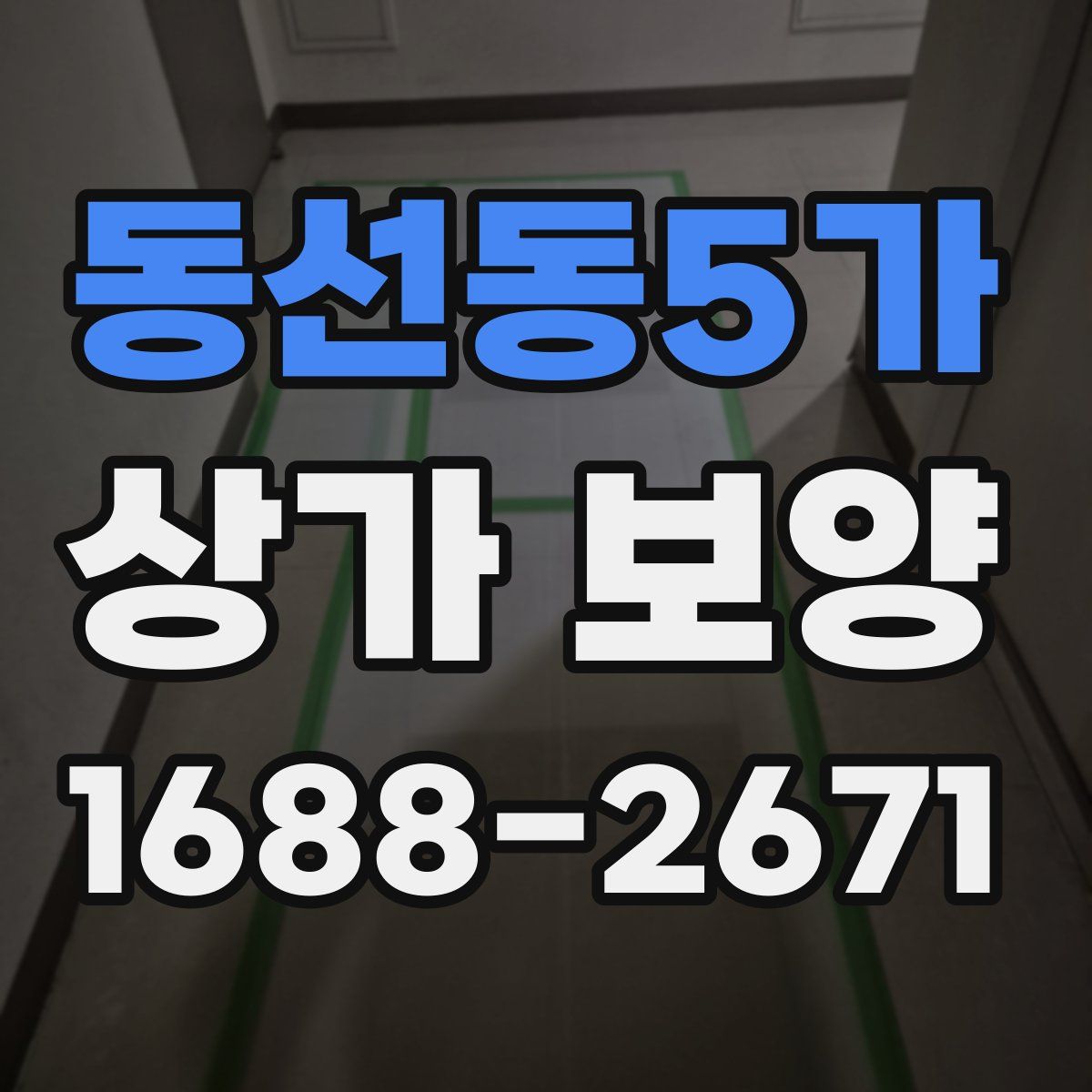 동선동5가 상가 보양