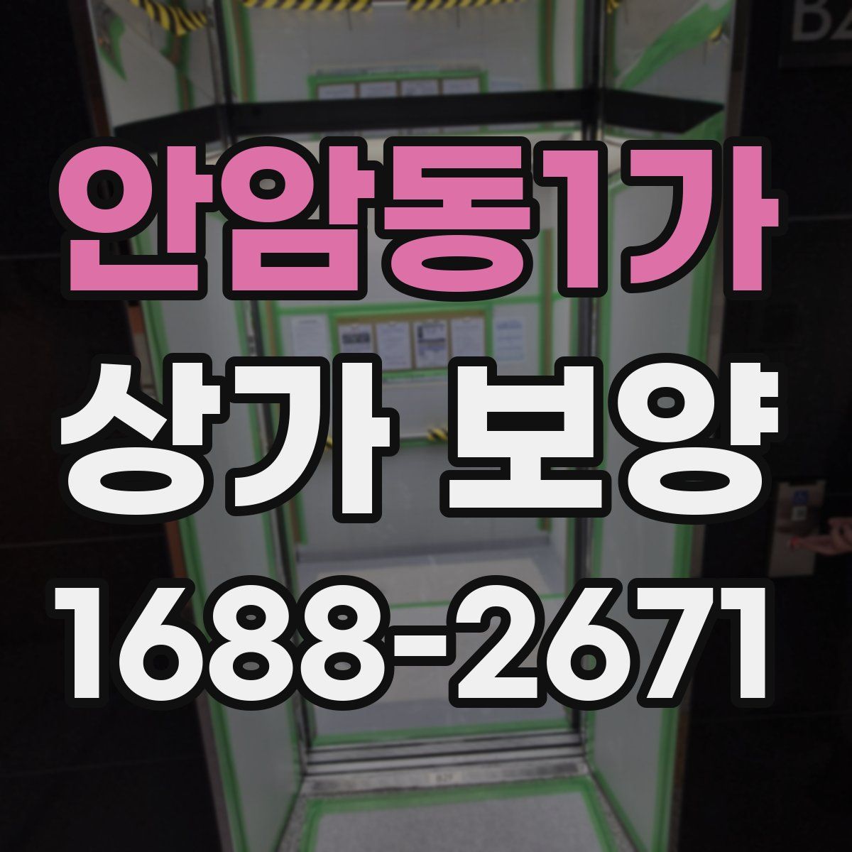 안암동1가 상가 보양