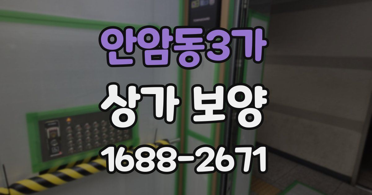 안암동3가 상가 보양