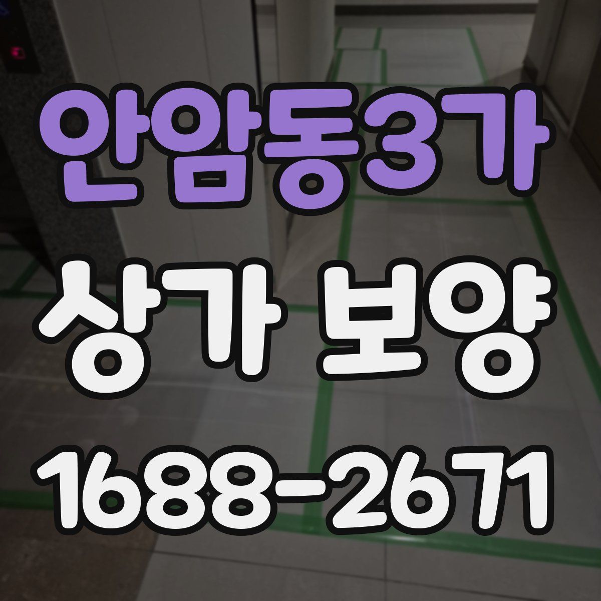 안암동3가 상가 보양