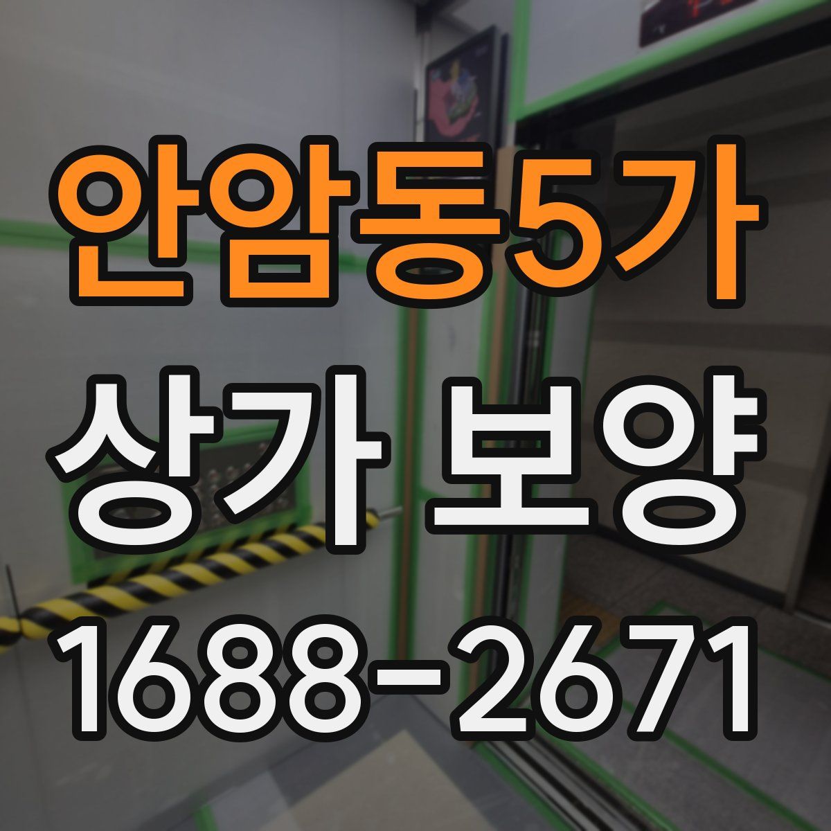 안암동5가 상가 보양