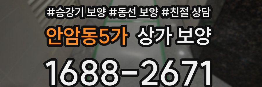 안암동5가 상가 보양