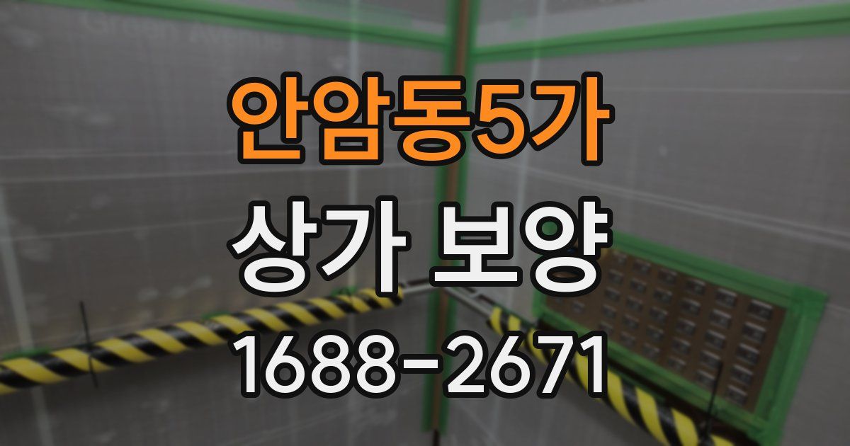 안암동5가 상가 보양