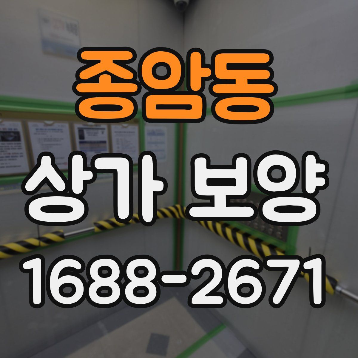 종암동 상가 보양