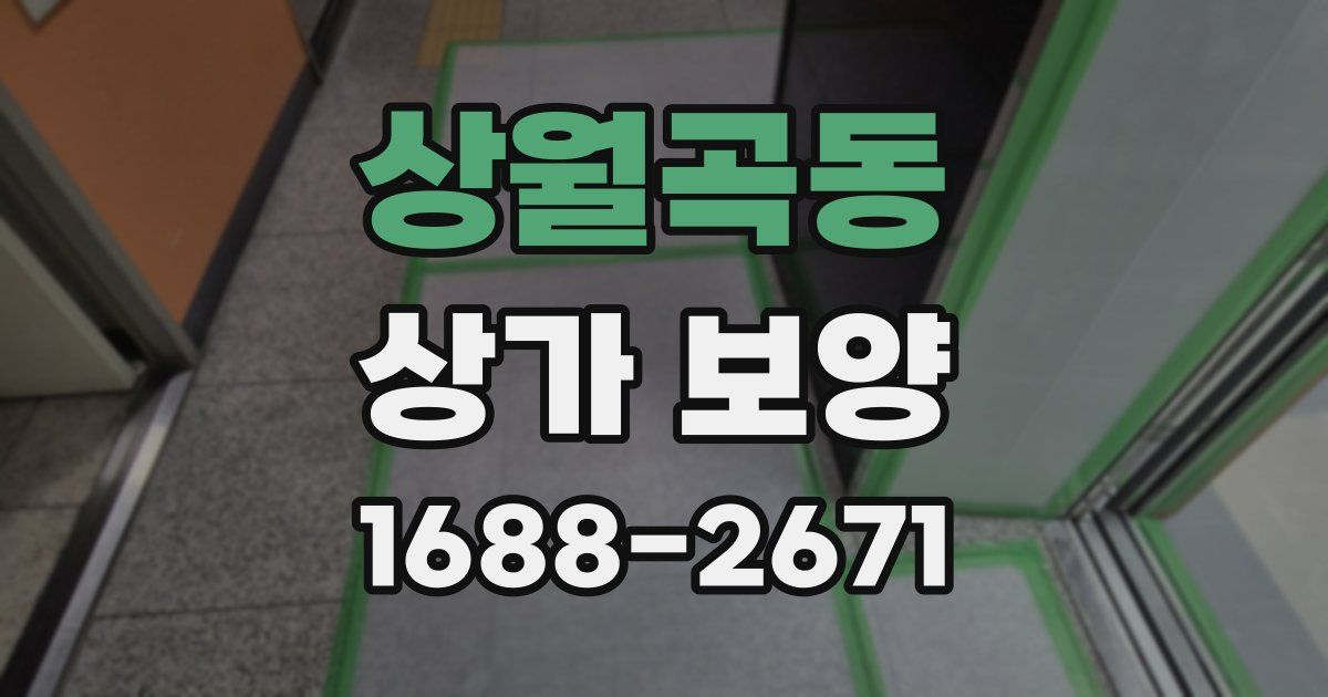 상월곡동 상가 보양