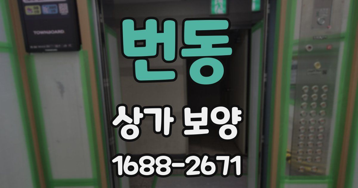 번동 상가 보양
