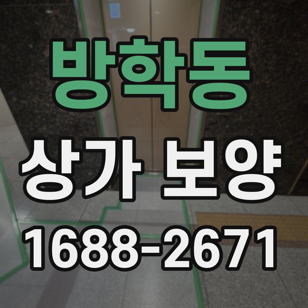 방학동 상가 보양