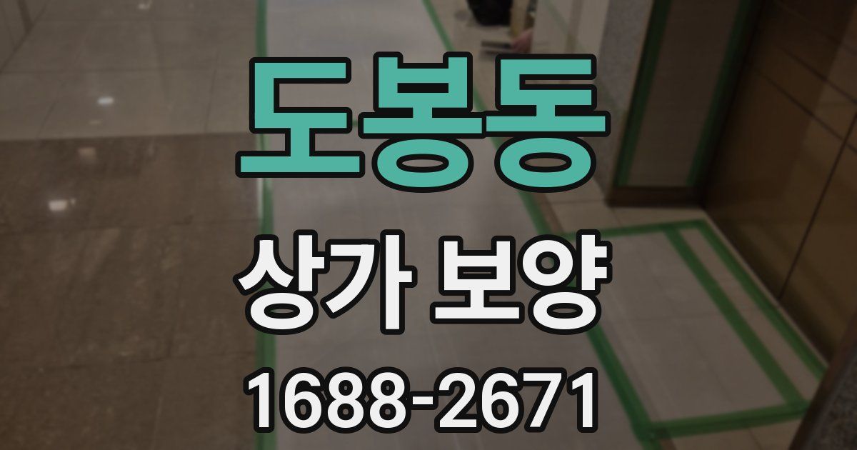 도봉동 상가 보양