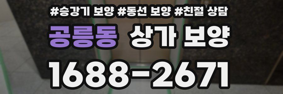 공릉동 상가 보양