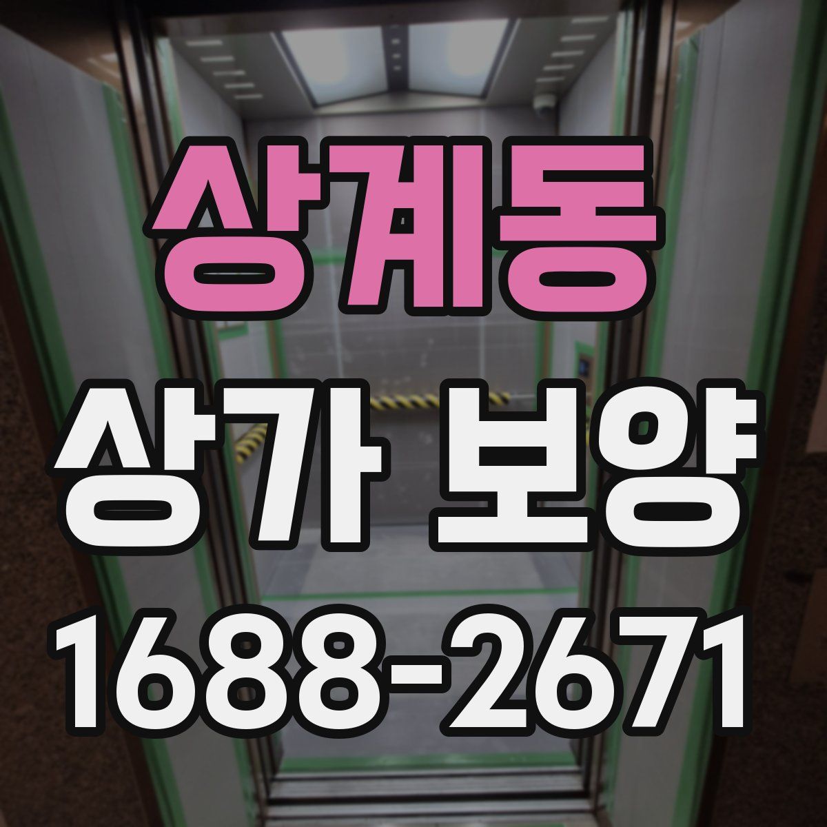 상계동 상가 보양