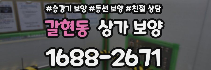 갈현동 상가 보양