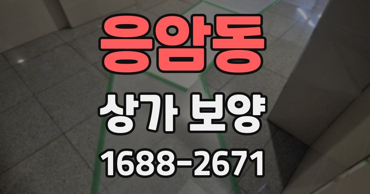 응암동 상가 보양